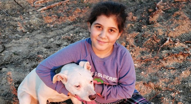 Komşusu, Sena'nın gebe olan terapi köpeğini öldürdü