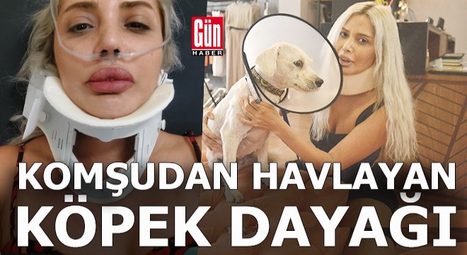 Komşusu havlayan köpek yüzünden ölümle tehdit etmiş