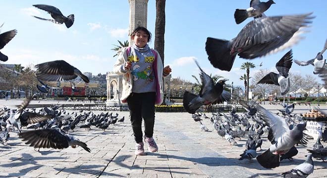 Konak Meydanı'nda güvercinler, aç kaldı