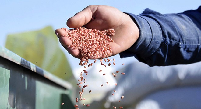 Konya Ovası'nda, ekim sezonu kuraklık alarmı