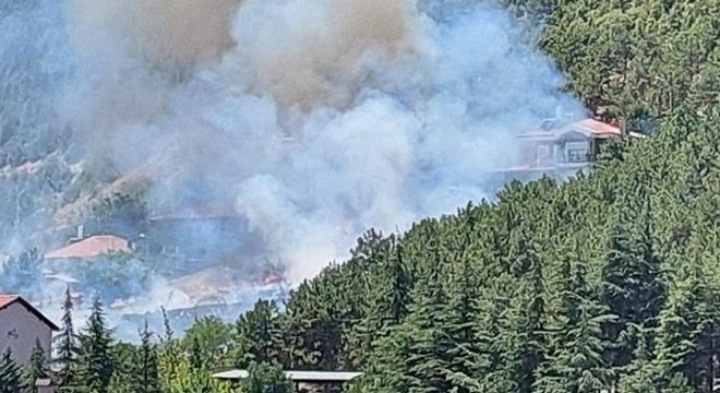 Konya'da yangın, ormanlık alana sıçramadan söndürüldü