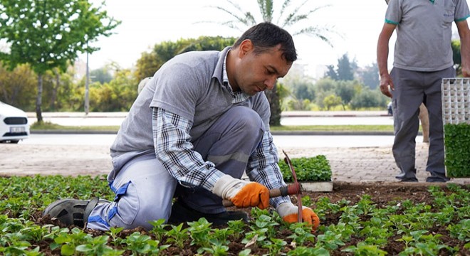 Konyaaltı çiçek açtı