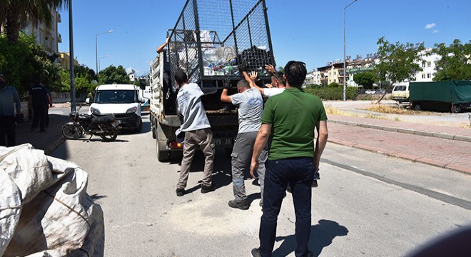 Konyaaltı'da çöpten atık toplayanlara operasyon
