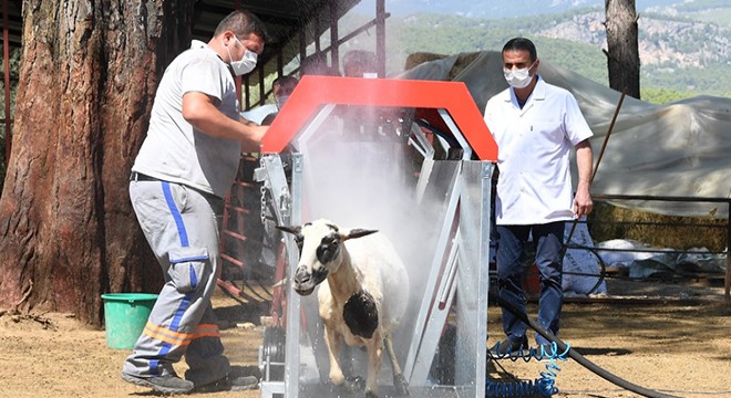 Konyaaltı, hayvancılıktaki uygulamalarıyla örnek oldu