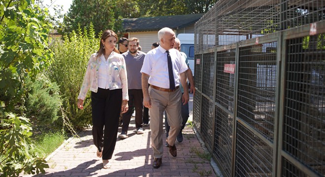 Konyaaltı’nda can dostlar için dayanışma ziyareti