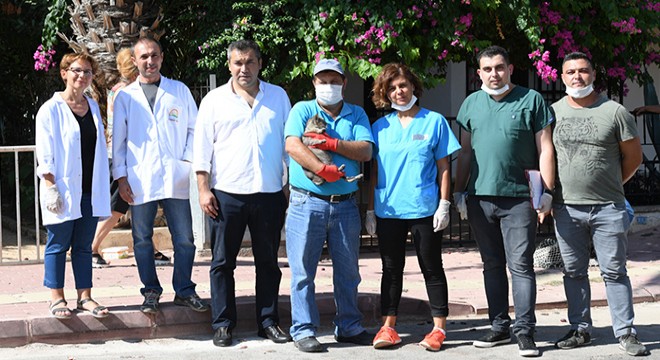 Konyaaltı'nda sokak hayvanları aşılanıyor