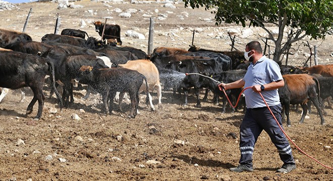 Konyaaltı'ndan bir ilk daha