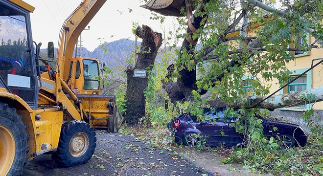 Konyaaltı Belediyesi nden fırtına teyakkuzu