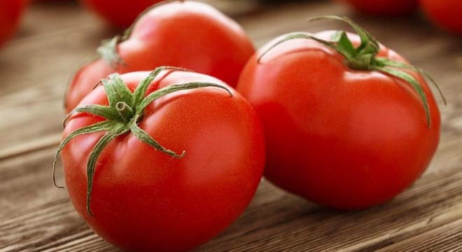 Kooperatif domates alımına başladı