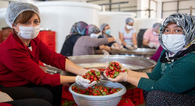 Kooperatifçi kadınlar doğal meyveleri reçele dönüştürüyor