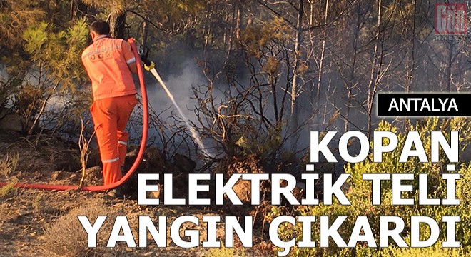 Kopan elektrik teli yangın çıkardı