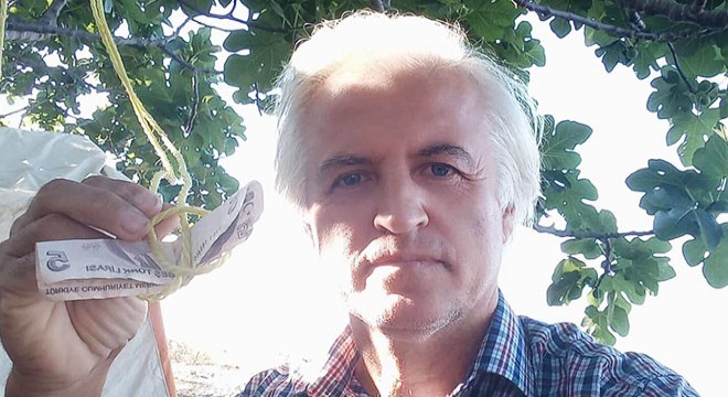 Kopardığı meyve için ağaca para astı
