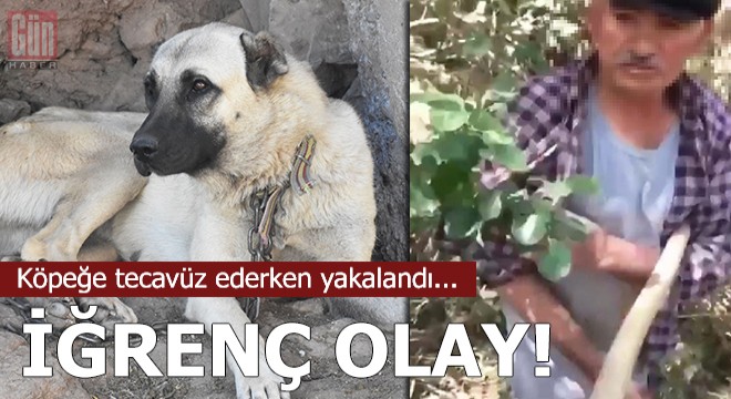 Köpeğe tecavüz ederken yakalandı, köylüler tepkili