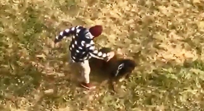 Köpeğe tekme atana 'Bana vur bana' diyerek tepki gösterdi