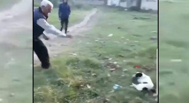 Köpeğe ve kendine engel olmaya çalışan çocuğa taş attı