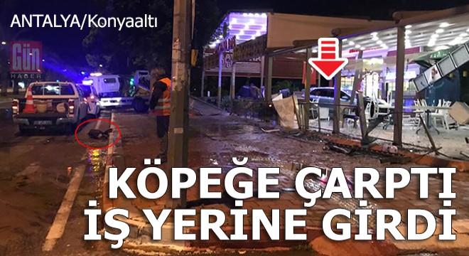 Köpeğe çarpmamak için manevra yaptı, otomobil iş yerine girdi