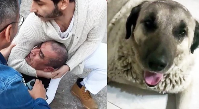 Köpeğe cinsel saldırıdan tutuklandı