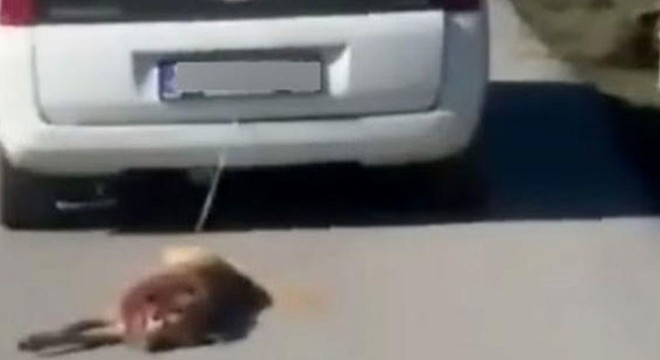 Köpeği böyle sürüklemenin cezası belli oldu