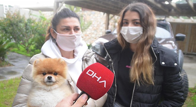 Köpeği ezdiği öne sürülen anne: "Köpeği kasıtlı ezmedim"