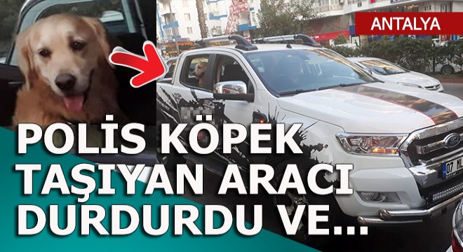 Köpeği gören polis sürücüye...