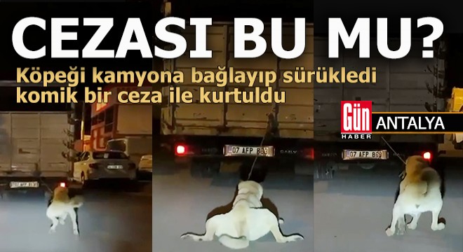 Köpeği kamyona bağlayıp sürüklemenin para cezası 'Yok artık' dedirtti