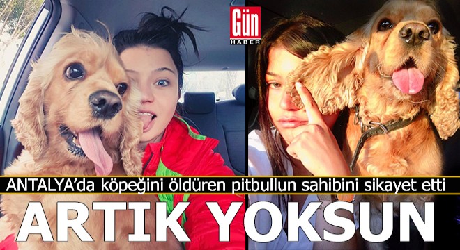 Köpeği pitbull kurbanı olan genç kadın şikayetçi oldu