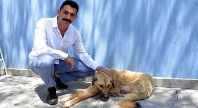 Köpeği tüfekle vurup, bacağını kesmişler