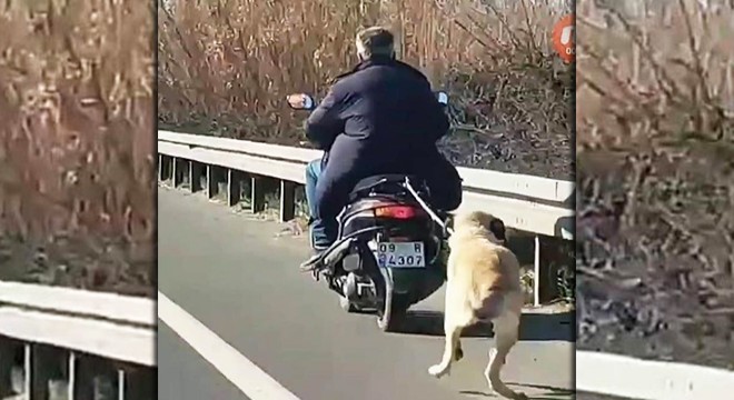 Köpeği motosikletin arkasına bağlayarak götüren sürücüye ceza