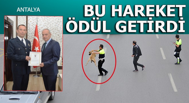 Bu hareket ödül getirdi