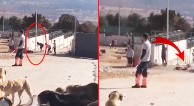 Köpeğin kürekle öldürülmesi davasında 2 sanığa hapis cezası
