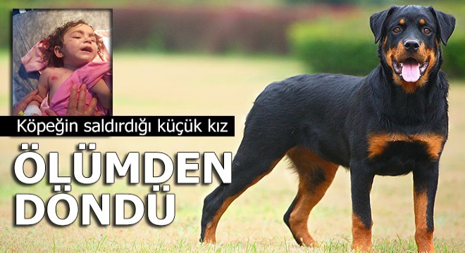 Köpeğin saldırdığı küçük kız ölümden döndü