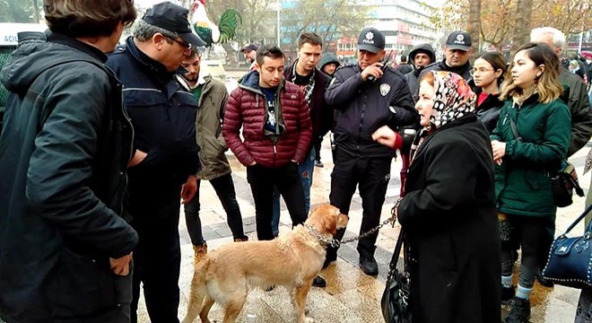 Köpeğini yağmur altında bırakan kadına tepki