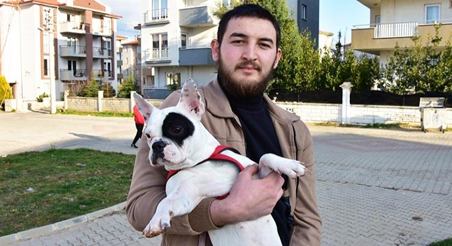 Köpeğini tekmeleyen teknikerin burnunu kırdı