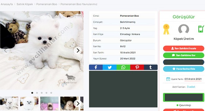 Köpek satış ilanıyla dolandırıcılık şebekesine ikinci operasyon
