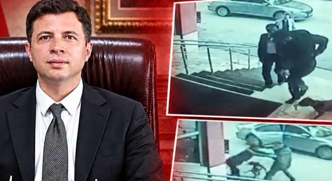 Köpek tekmeleyen kaymakama soruşturma