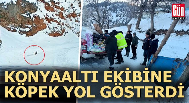 Köpek, Konyaaltı ekibine yol gösterdi