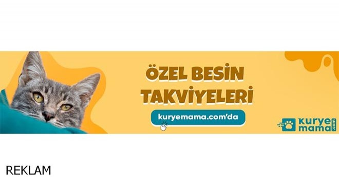 Köpek kulübesi, kedi kumları ve mamaları Kurye Mama.com da