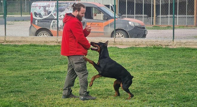 Köpek saldırısından kaçınmak için birinci kural