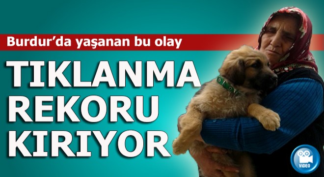 Köpek sevgisiyle sosyal medya fenomeni oldu