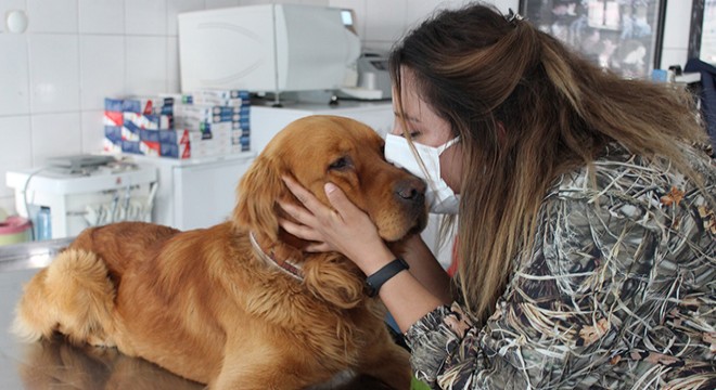 Köpeklerde gençlik hastalığı salgını; 3’ü öldü