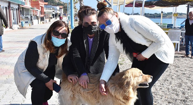 Köpeklere taş attığı için uyaran 2 kadını dövdü