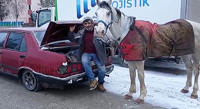 Köpekten kaçan cirit atları, trafikte 25 kilometre koştu