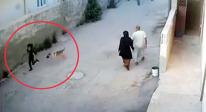 Köpekten kaçmaya çalışırken düşüp yaralandı