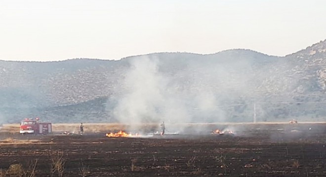 Korkuteli'de anız yangını