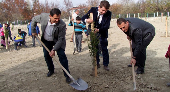 Korkuteli'de fidan dikimi