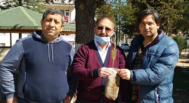 Korkuteli'de fidanlar toprakla buluştu
