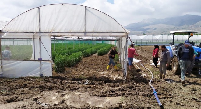 Korkuteli'de hasar tespiti sürüyor