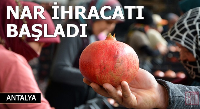 Korkuteli'de nar ihracatı başladı