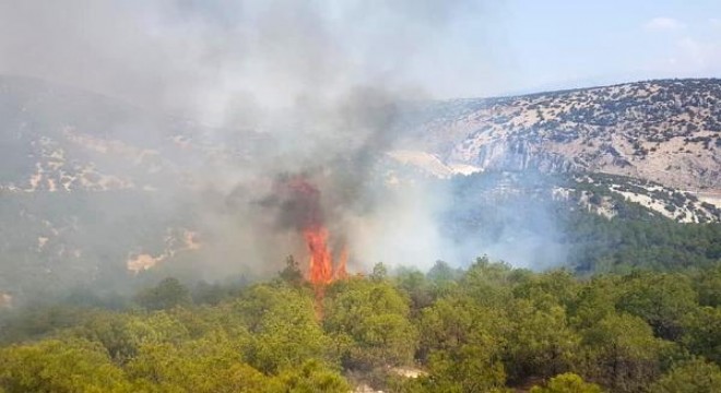 Korkuteli'de orman yangını