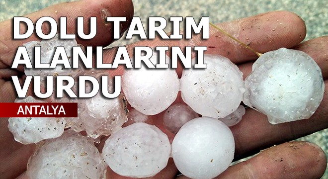 Korkuteli'de sağanak ve dolu, tarım alanlarını vurdu